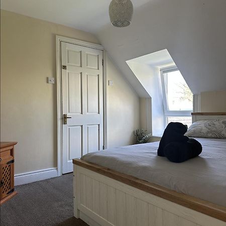 The Grapevine Hostel Dingle Bagian luar foto