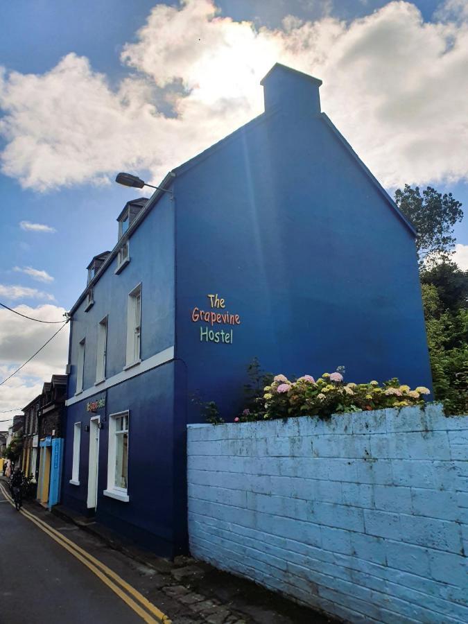 The Grapevine Hostel Dingle Bagian luar foto