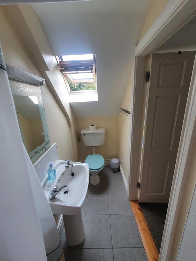 The Grapevine Hostel Dingle Bagian luar foto