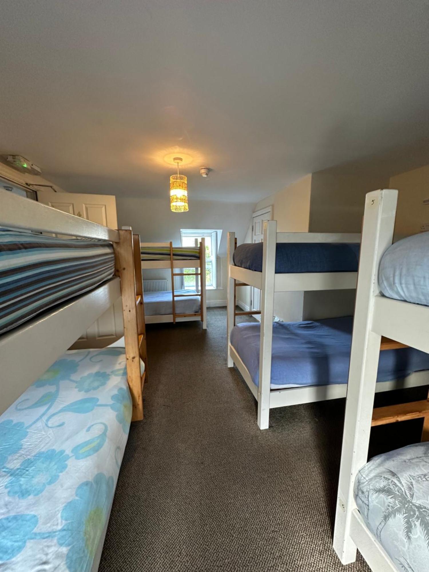 The Grapevine Hostel Dingle Bagian luar foto